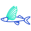 flying fish icon