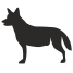 dog icon
