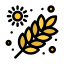 grain icon