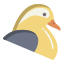 mandarin icon