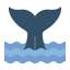 Whale Tale icon