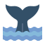 Baleine icon