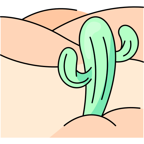 desert icon