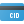 CID icon