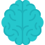 Brain icon