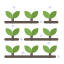 Plant icon