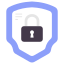 cyber defens icon