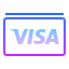 gradient style visa icon