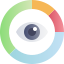vision icon