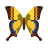 color style machaon schmetterling icon