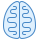 Cerebro icon