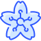 cherry blossom icon