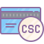 cute color style card security code icon