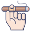 Cigar icon