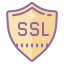 cute color style ssl verschlüsselung icon