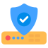 server security icon