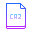gradient style cr2 icon