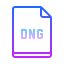 gradient style dng icon