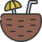 Coconut icon