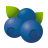 Blaubeeren icon