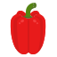 внешний перец-овощи-ддара-плоский-ддара icon