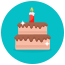 birthday cake icon