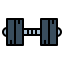 dumbbell icon