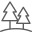 pine icon