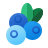 Blaubeere icon