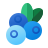 Blueberry icon