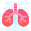 cute clipart style pulmones icon