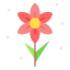 Narcissus icon