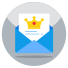 Important Email icon