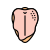 chicken breast icon