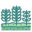 wheat icon