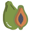 Papaya icon