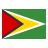 color style guyana icon