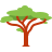 color style akazie icon