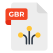 GBR File icon