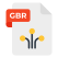 gbr file icon