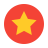 Звезда рейтинга в круге icon