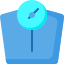 Scales icon