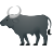 búfalo de agua icon