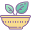 cute color style healthy food icon
