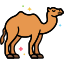 Camello icon