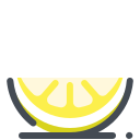 Citrus icon