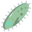 Multicellular Organisms icon