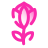 Protea Flower icon