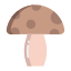 蘑菇 icon