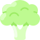 Broccoli icon